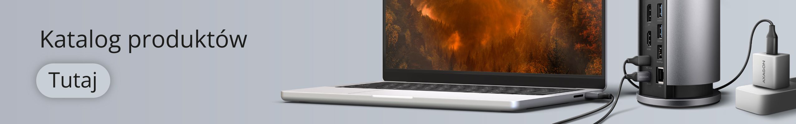 Katalog produktów tutaj